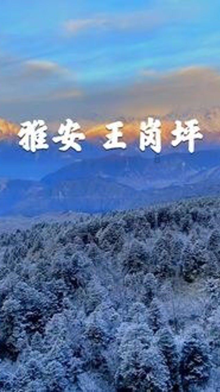 线上摩托挑战赛