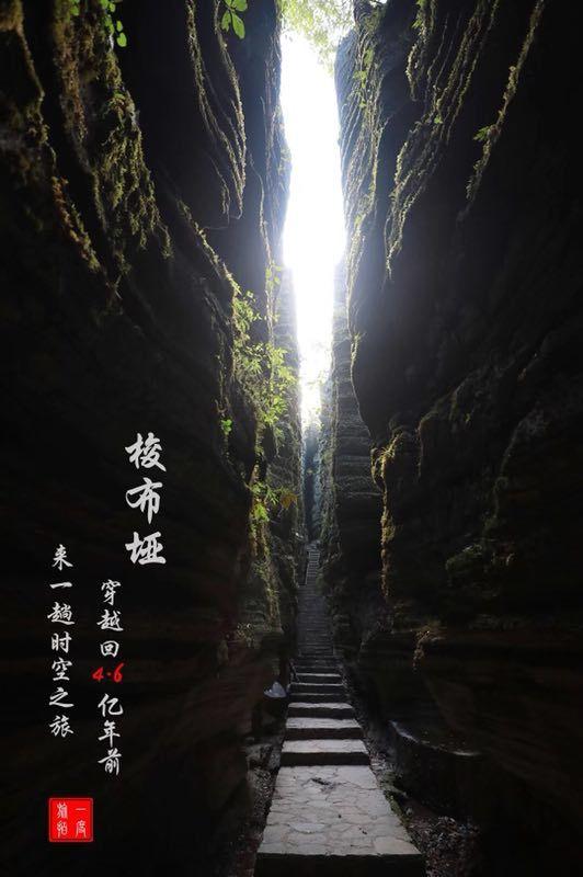 美立法传闻搅动A股医药股 多家上市公司紧急澄清