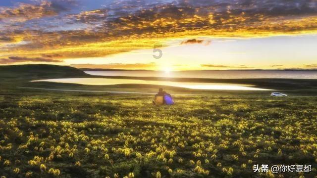 这座“芙蓉花”带来多少“心花怒放”