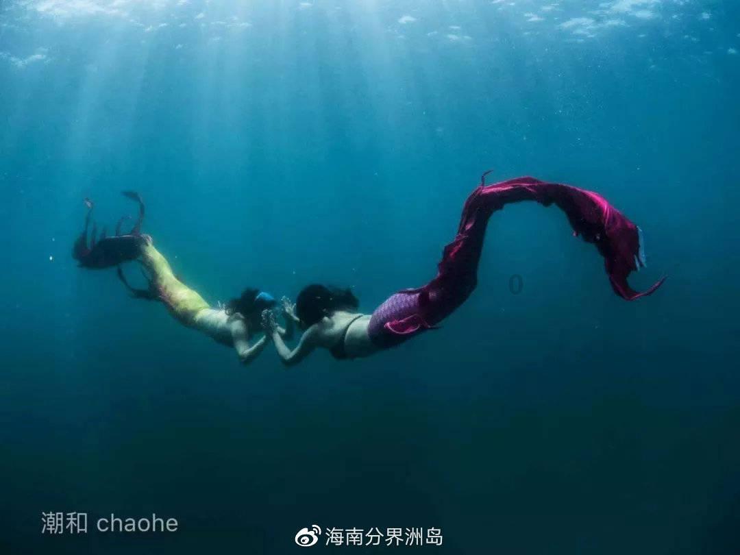 《深夜食堂》老板的脸上为什么有一道疤？游戏画面