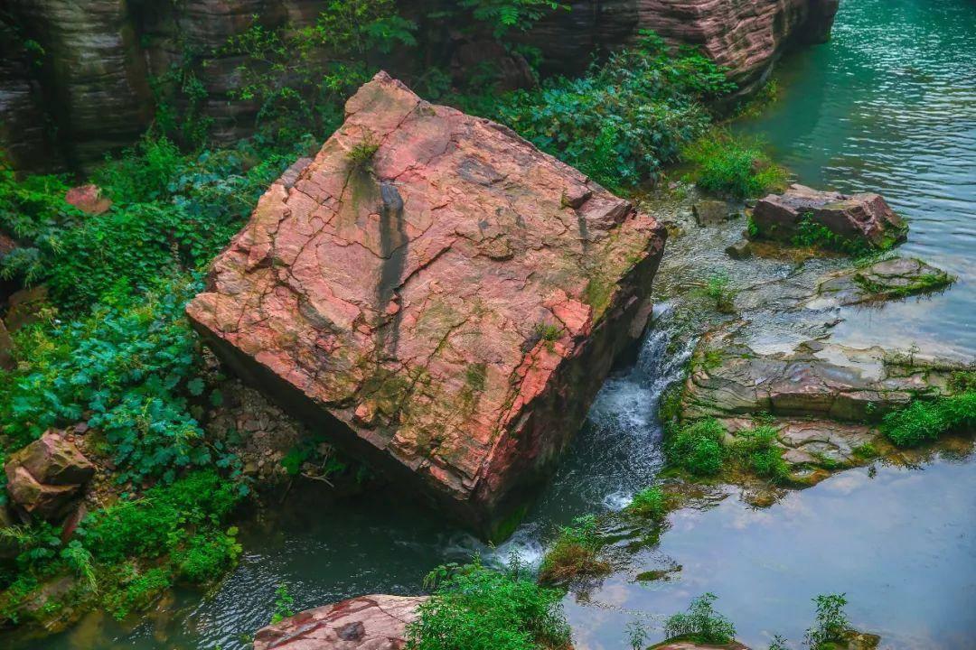 明星被造谣，必须自证清白吗？