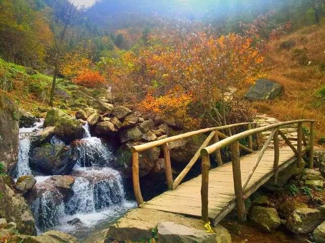芭比娃娃的服装