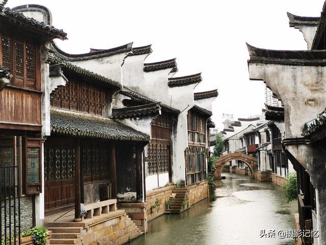 救援小肥兔