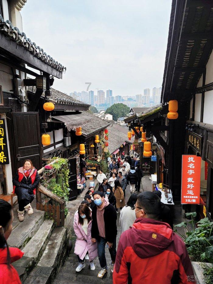 动物帮帮忙保卫家园